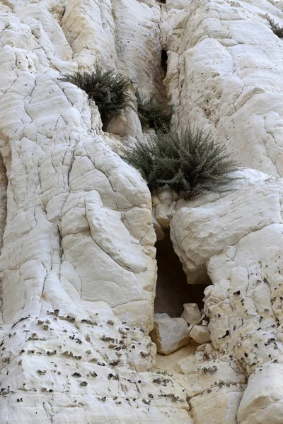 Textura Color Piedra Roca Las Montañas Orillas Del Mar Mediterráneo — Foto de Stock