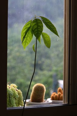 Pencere - oda ve havalandırma içine ışık girişi için hizmet veren inşaat mimari bir detay. 