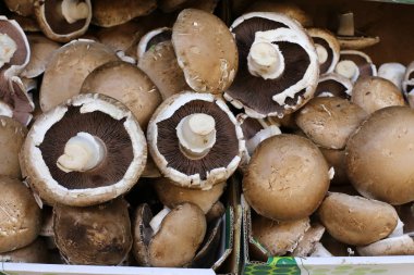 taze meyve ve sebze İsrail'in Acre kentinde sebze pazarında satılmaktadır 