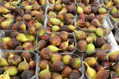 taze meyve ve sebze İsrail'in Acre kentinde sebze pazarında satılmaktadır 