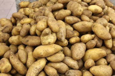 taze meyve ve sebze İsrail'in Acre kentinde sebze pazarında satılmaktadır 