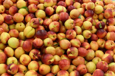 taze meyve ve sebze İsrail'in Acre kentinde sebze pazarında satılmaktadır 