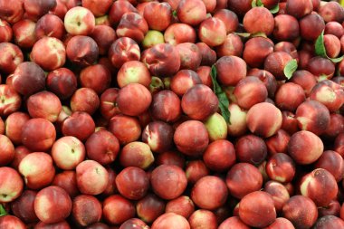 taze meyve ve sebze İsrail'in Acre kentinde sebze pazarında satılmaktadır 