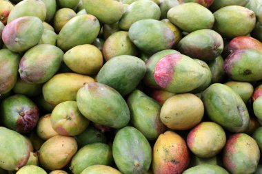 taze meyve ve sebze İsrail'in Acre kentinde sebze pazarında satılmaktadır 