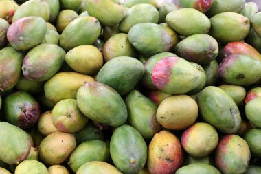 taze meyve ve sebze İsrail'in Acre kentinde sebze pazarında satılmaktadır 