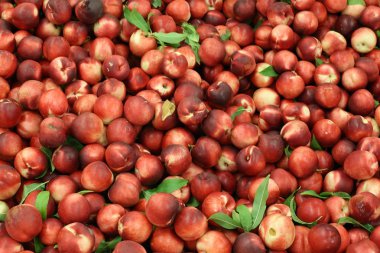 taze meyve ve sebze İsrail'in Acre kentinde sebze pazarında satılmaktadır 