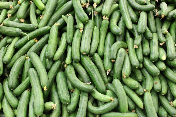 Vers Fruit Groenten Worden Verkocht Groentemarkt Stad Acre Israël — Stockfoto