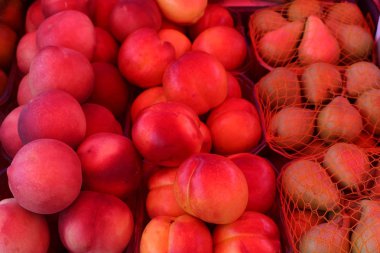 taze meyve ve sebze İsrail'in Acre kentinde sebze pazarında satılmaktadır 