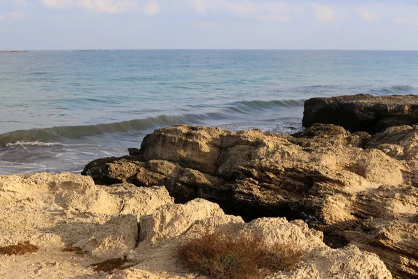 İsrail'in kuzeyinde Akdeniz kıyılarında ıssız plaj 