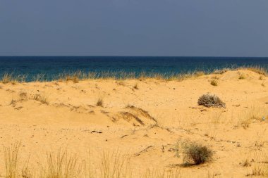 İsrail'in kuzeyinde Akdeniz kıyılarında ıssız plaj 