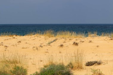İsrail'in kuzeyinde Akdeniz kıyılarında ıssız plaj 