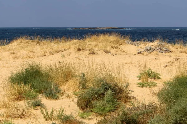 Praia Deserta Margens Mar Mediterrâneo Norte Israel — Fotografia de Stock