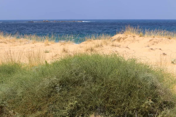 Öde Strand Vid Medelhavets Strand Norra Israel — Stockfoto