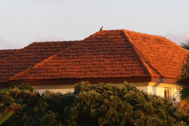 çatı - atmosferik yağış korumak için hizmet veren binanın üst yapısı, 