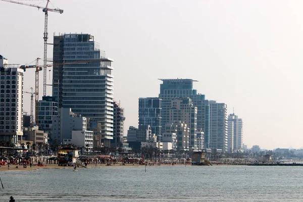 Tel Aviv Big City - İsrail'in Akdeniz kıyısında bir tatil beldesi 