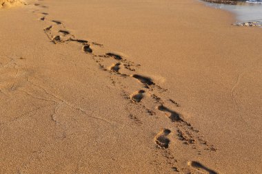 İsrail'in kuzeyinde Akdeniz kıyılarında kum ayak izleri 