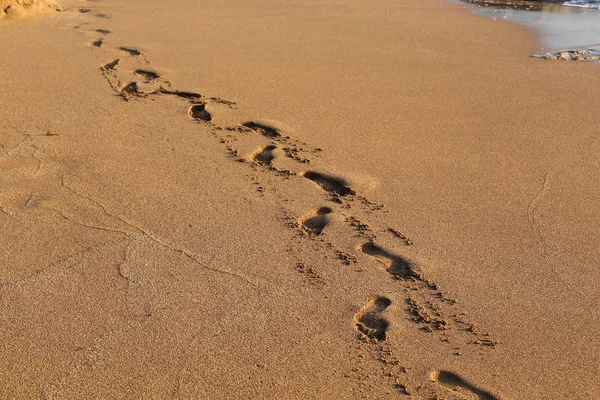 İsrail'in kuzeyinde Akdeniz kıyılarında kum ayak izleri 