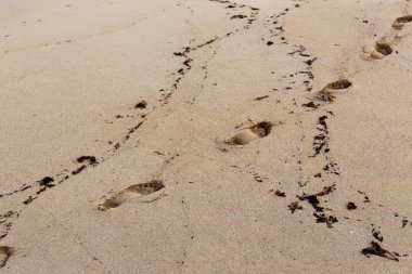 İsrail'in kuzeyinde Akdeniz kıyılarında kum ayak izleri 