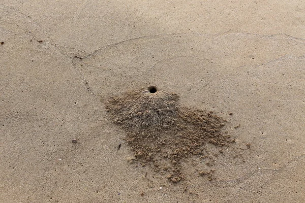 Empreintes Pas Dans Sable Sur Les Rives Mer Méditerranée Dans — Photo