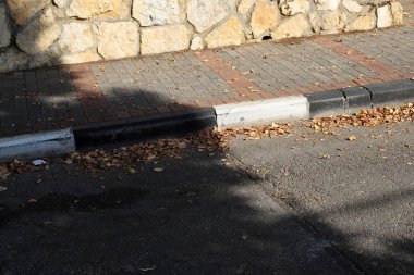 bahçede kuru yapraklar ve kurutulmuş çim, yaklaşan sonbahar Bir işareti 