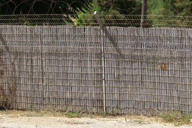 İsrail devletinin kuzeyinde bir şehir orman parkı eskrim 