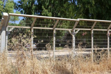 İsrail devletinin kuzeyinde bir şehir orman parkı eskrim 