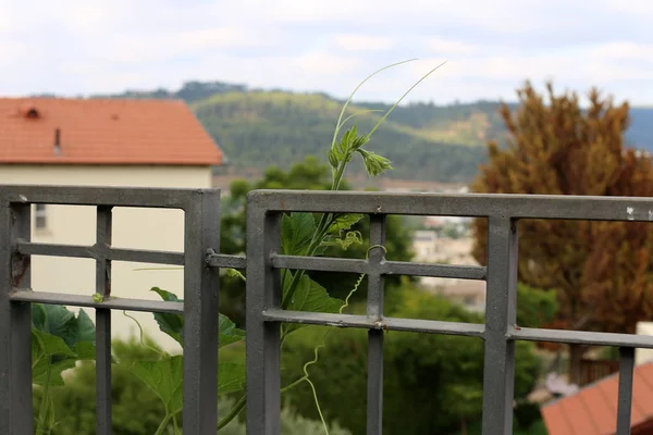 fencing in a city forest park in the north of the state of Israel