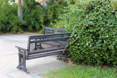 Bir bank İsrail'in kuzeyinde Akdeniz kıyısında bir şehir parkı duruyor 