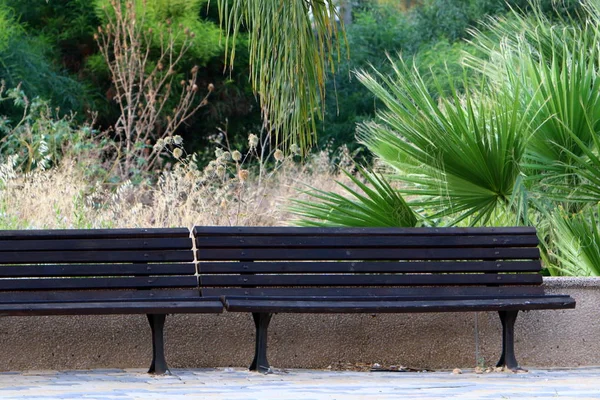 ベンチはイスラエル北部の地中海のほとりにある都市公園に立っている — ストック写真