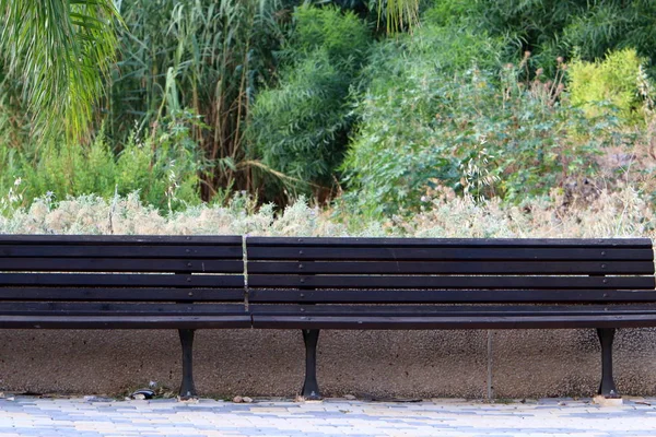 Banc Dresse Dans Parc Urbain Sur Les Rives Mer Méditerranée — Photo