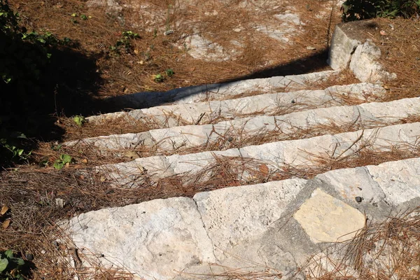 bir merdiven tırmanış ve iniş için adımlar bir dizi şeklinde bir bina ve yapının bir parçasıdır. 