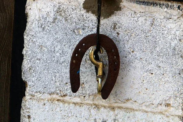 Pferd Ein Großes Einhuftier Lebt Einem Stall Nordisrael — Stockfoto