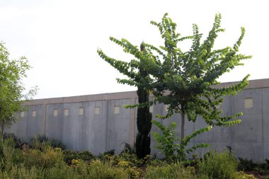 İsrail'in kuzeyinde inşa edilmiş yüksek taş ve beton duvar 