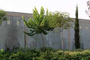 İsrail'in kuzeyinde inşa edilmiş yüksek taş ve beton duvar 