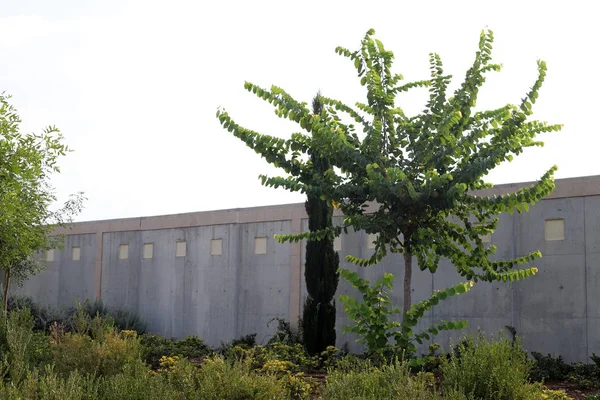 İsrail'in kuzeyinde inşa edilmiş yüksek taş ve beton duvar 