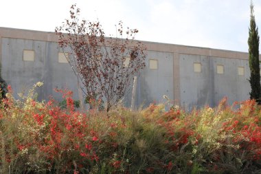 İsrail'in kuzeyinde inşa edilmiş yüksek taş ve beton duvar 