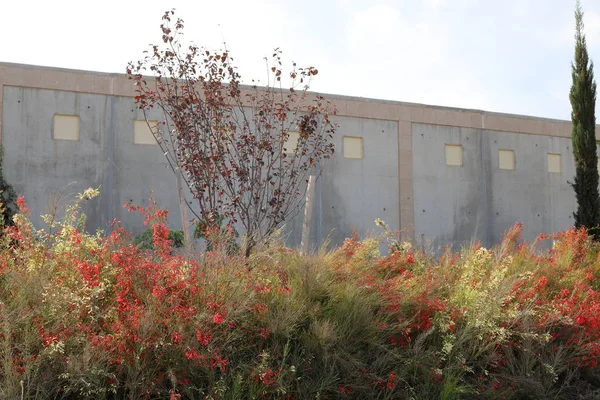 İsrail'in kuzeyinde inşa edilmiş yüksek taş ve beton duvar 