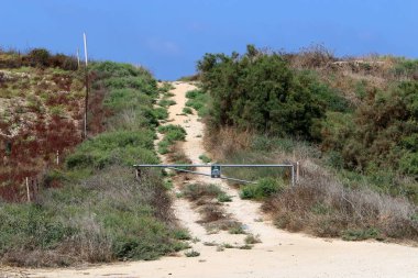 İsrail'in kuzeyinde dağlarda orman yolu 