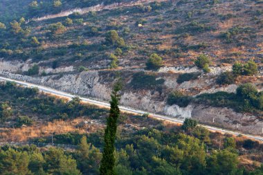 İsrail'in kuzeyinde dağlarda orman yolu 