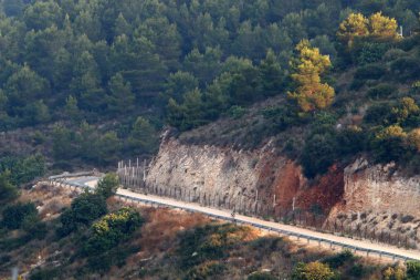 İsrail'in kuzeyinde dağlarda orman yolu 