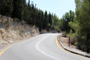 İsrail'in kuzeyinde dağlarda orman yolu 