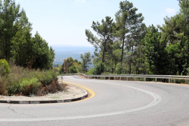 İsrail'in kuzeyinde dağlarda orman yolu 