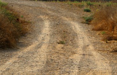 İsrail'in kuzeyinde dağlarda orman yolu 