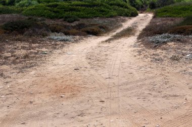 İsrail'in kuzeyinde dağlarda orman yolu 