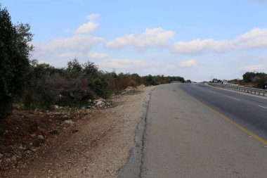 İsrail'in kuzeyinde dağlarda orman yolu 