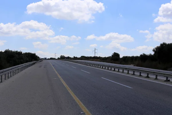 Forest Road Mountains North Israel — Stock Photo, Image