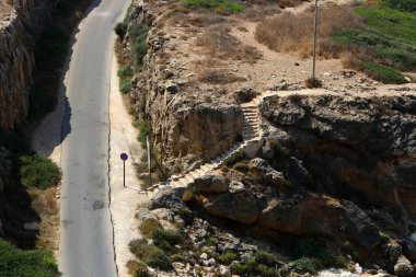 İsrail'in kuzeyinde dağlarda orman yolu 