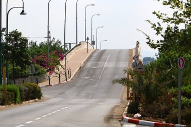 İsrail'in kuzeyinde dağlarda orman yolu 