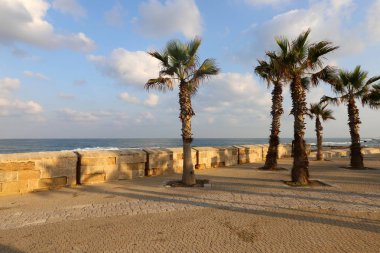 İsrail'in kuzeyinde Akdeniz kıyısında Acre kentinde antik bir kaletaş duvar 