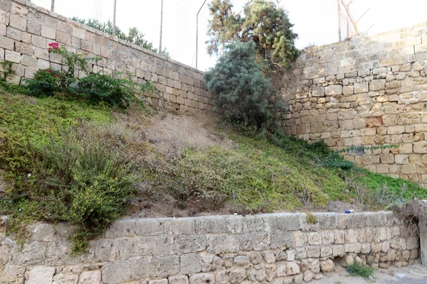 Каменная Стена Древней Крепости Городе Акко Берегу Средиземного Моря Севере — стоковое фото